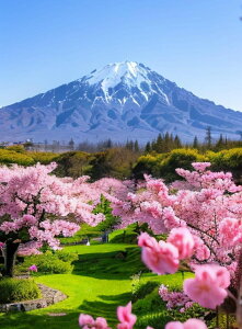 y10%OFFN[|zzz hJLbg 5D_ChA[g r[YhJ i xmR̍ S 5D_Ch yCeBOCeA  nhCh NXXeb` _CA