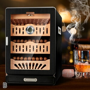 y10%OFFN[|zzz t{bNX  e tP[X  ؍ VK[ xv  i ێ ؐVKbg [P[X ΂ۊ tۊǌ ێ VK[