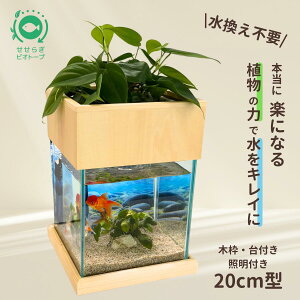 yTVŏЉ܂z sv Zbg 炬rIg[v 7L 20cm KX   ߂  x^ Mы S ͂悤{ ܂Ǐ ANAE Zbg 