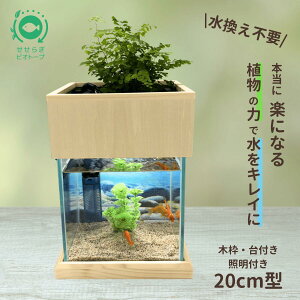 水槽 20cm 水槽セット」の人気商品一覧・価格比較 - 価格.com