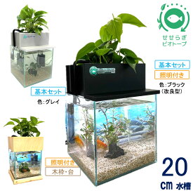 【TVで紹介されました】 水換え不要 水槽セット せせらぎビオトープ 水換え不要 水槽セット 約7L 20cm せせらぎビオトープ NHK おはよう日本 まちかど情報室 アクアポニクス インテリア 金魚 メダカ ベタ 熱帯魚 観葉植物 癒やし 水音 西条庭園 送料無料