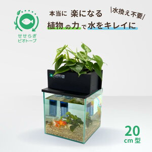 yTVŏЉ܂z sv Zbg 炬rIg[v 7L 20cm KX   ߂  x^ Mы S ͂悤{ ܂Ǐ ANAE Zbg 