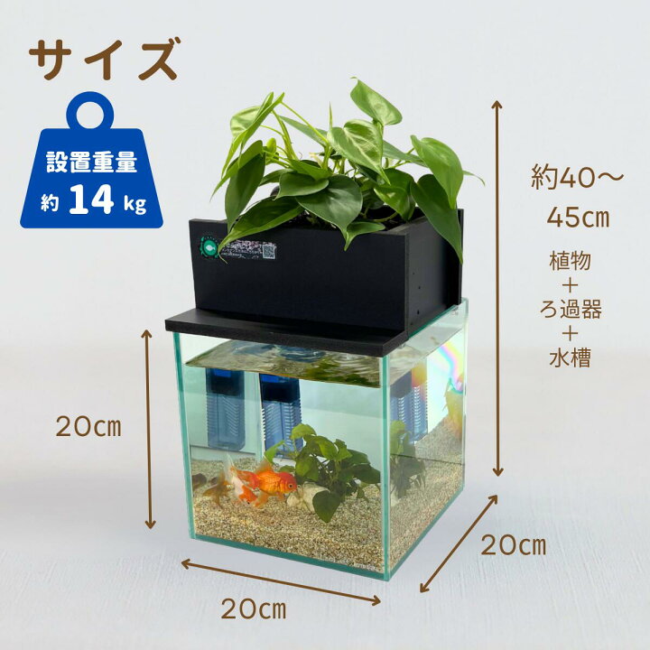 楽天市場】【TVで紹介されました】水換え不要 水槽セット せせらぎ 