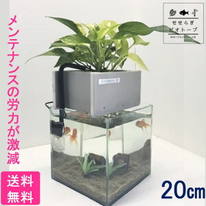 ポトス インテリア ペットの人気商品 通販 価格比較 価格 Com