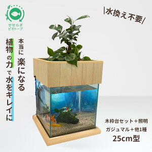 25cm 水槽セット」の人気商品一覧・価格比較 - 価格.com