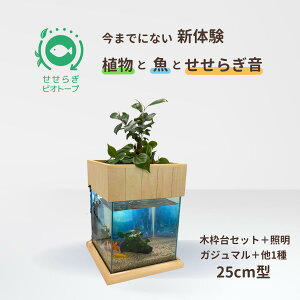 yTVŏЉ܂zsv Zbg 炬rIg[v 25cm Zbg 14L KX   ߂  x^ Mы S ͂悤{ ܂Ǐ ANAE 