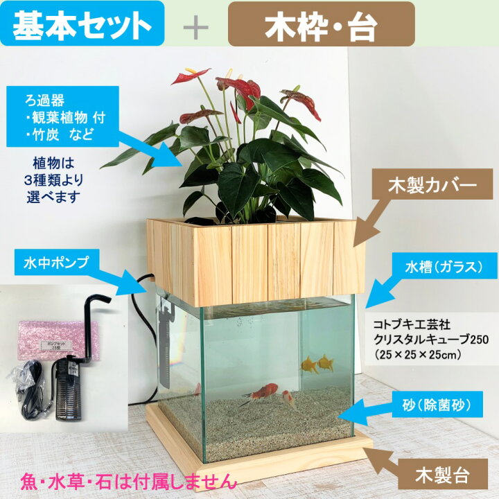 楽天市場】【TVで紹介されました】 換え不要 せせらぎビオトープ 25cm 