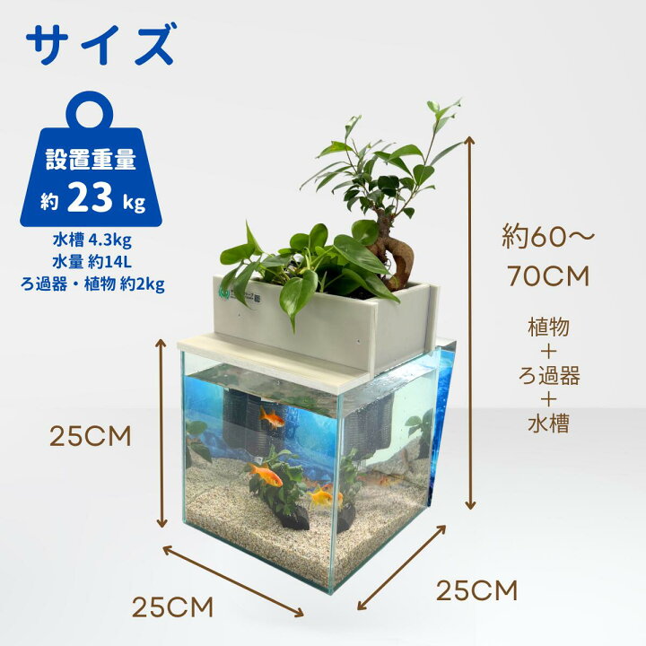 楽天市場】【TVで紹介されました】水換え不要 水槽セット せせらぎ 