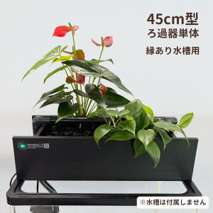 yTVŏЉ܂zm͕t܂n sv  㕔tB^[ 炬rIg[v  45cm  ߂  x^ Mы S ͂悤{ ܂Ǐ ANA