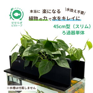 yTVŏЉ܂zm͕t܂n sv  㕔tB^[ 炬rIg[v  45cm GEX OXeAX450p  ߂  x^ Mы S ͂