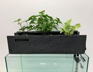 水槽 観葉植物の通販 価格比較 価格 Com