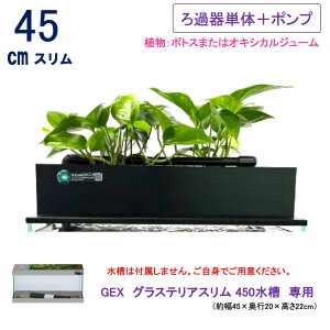 y͕t܂z sv 炬rIg[v 45cm GEX OXeAX450p ߊP̃|vZbg 炬 NHK ͂悤{ ܂Ǐ ANA|jNX  _