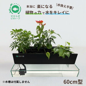 yTVŏЉ܂z sv 炬rIg[v 㕔tB^[ 60cm 45cm p  ߂  x^ Mы S ͂悤{ ܂Ǐ ANAE Zbg C