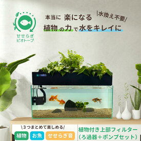 【TVで紹介されました】水換え不要 せせらぎビオトープ 上部フィルター 60cm 45cm 水槽用 おしゃれ めだか 金魚 ベタ 熱帯魚 初心者 おはよう日本 まちかど情報室 アクアリウム 入門セット インテリア 観葉植物 癒やし 送料無料 ★水槽は付属しません★