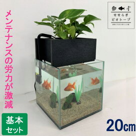 楽天市場 Tvで紹介されました せせらぎビオトープ 水替え不要 基本水槽セット 黒 cm 水槽用 8l 照明なし Nhk おはよう日本 まちかど情報室 アクアポニクス インテリア 金魚 メダカ 熱帯魚 観葉植物 癒やし 水音 西条庭園 送料無料 西条庭園