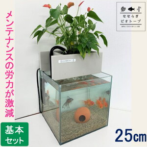 メダカ 水槽 掃除の人気商品 通販 価格比較 価格 Com