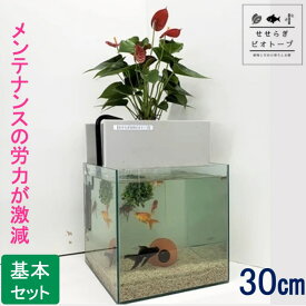 楽天市場 水槽 30cm 金魚の通販