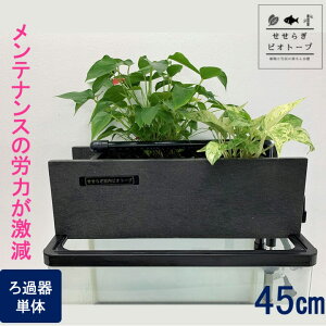 メダカ 水槽 おしゃれの人気商品 通販 価格比較 価格 Com