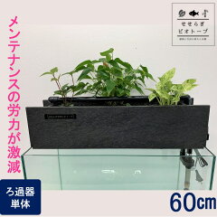 楽天市場 Tvで紹介されました せせらぎビオトープ 水替え不要 基本水槽セット cm 水槽用 8l 照明なし Nhk おはよう日本 まちかど情報室 アクアポニクス インテリア 金魚 メダカ 熱帯魚 観葉植物 癒やし 水音 西条庭園 送料無料 西条庭園