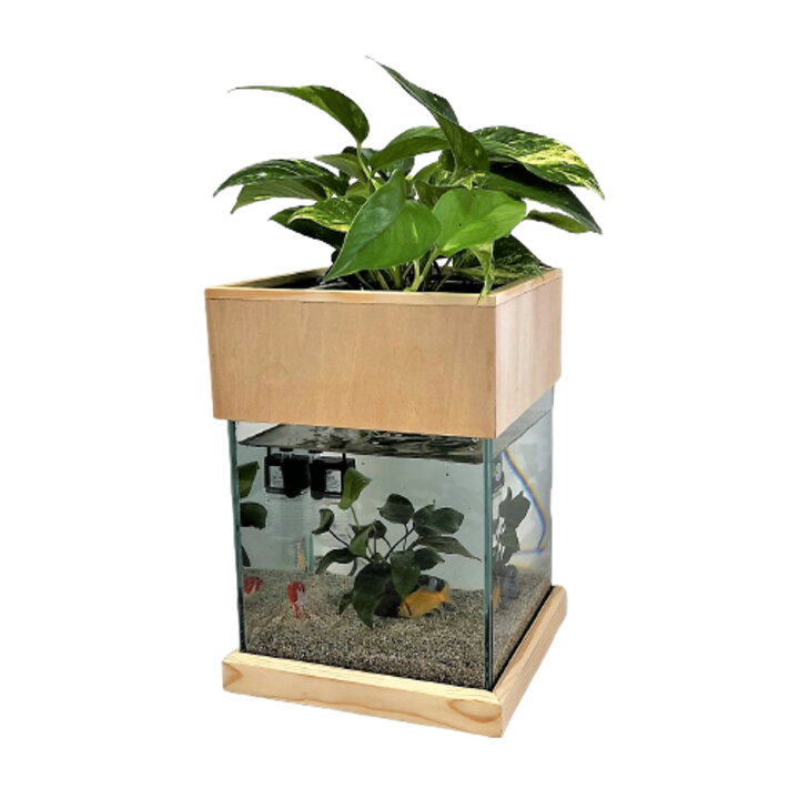 楽天市場 Tvで紹介されました せせらぎビオトープ 水替え不要 木枠台セット cm 水槽用 8l 照明なし Nhk おはよう日本 まちかど情報室 アクアポニクス インテリア 金魚 メダカ ベタ 熱帯魚 観葉植物 癒やし 水音 西条庭園 送料無料 西条庭園