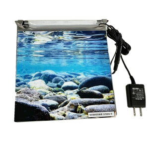 炬rIg[v 20cm p Ɩ obNCgmPin