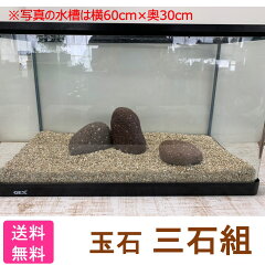 楽天市場 Tvで紹介されました せせらぎビオトープ 水替え不要 基本水槽セット cm 水槽用 8l 照明なし Nhk おはよう日本 まちかど情報室 アクアポニクス インテリア 金魚 メダカ 熱帯魚 観葉植物 癒やし 水音 西条庭園 送料無料 西条庭園