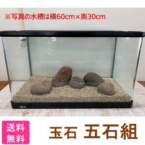 砂利 レイアウト用品 水槽 5kgの人気商品 通販 価格比較 価格 Com