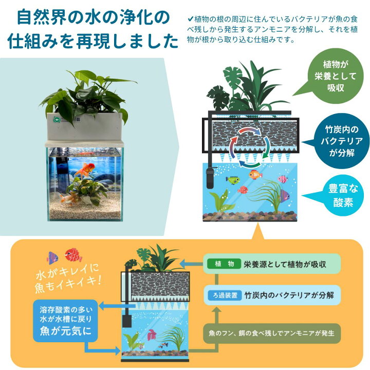 楽天市場】【TVで紹介されました】水換え不要 水槽セット せせらぎ 