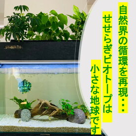 楽天市場 Tvで紹介されました せせらぎビオトープ Nhk おはよう日本 まちかど情報室 手間いらず 水替え不要 ろ過器単体ポンプセット 60cm おしゃれ フィルター ポンプ アクアポニクス 金魚 メダカ 熱帯魚 水替え 観葉植物 癒やし インテリア 西条庭園 西条庭園