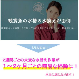 楽天市場 Tvで紹介されました せせらぎビオトープ Nhk おはよう日本 まちかど情報室 手間いらず 水替え不要 ろ過器単体ポンプセット 45cm おしゃれ フィルター ポンプ 金魚 メダカ 熱帯魚 水替え 観葉植物 癒やし インテリア アクアポニクス 西条庭園 西条庭園