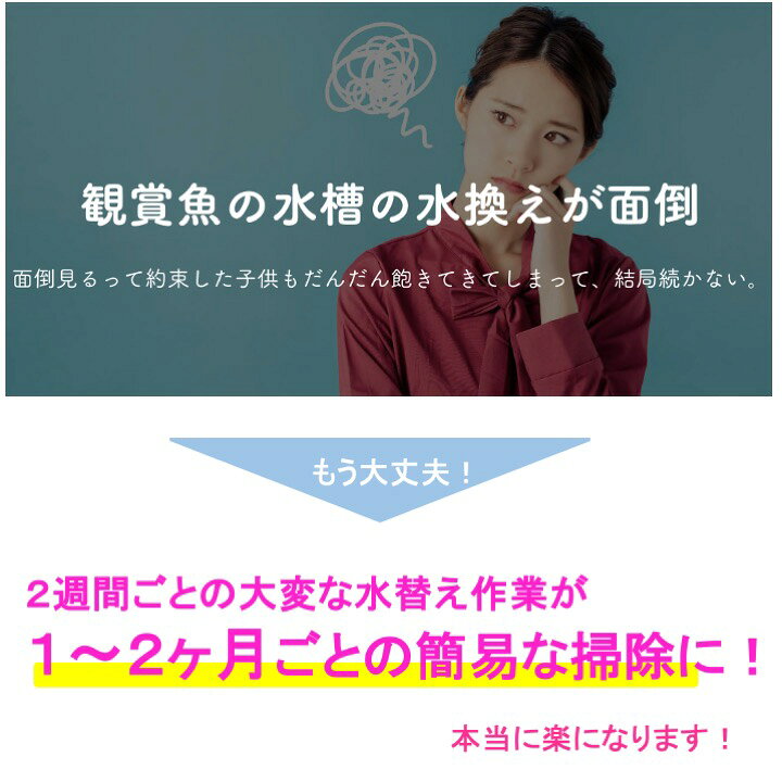 楽天市場 Tvで紹介されました せせらぎビオトープ Nhk おはよう日本 まちかど情報室 手間いらず 水替え不要 ろ過器単体ポンプセット 45cm おしゃれ フィルター ポンプ 金魚 メダカ 熱帯魚 水替え 観葉植物 癒やし インテリア アクアポニクス 西条庭園 西条庭園
