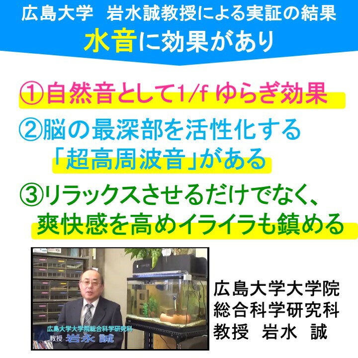 楽天市場 Tvで紹介されました せせらぎビオトープ 水替え不要 基本水槽セット 黒 cm 水槽用 8l 照明なし Nhk おはよう日本 まちかど情報室 アクアポニクス インテリア 金魚 メダカ 熱帯魚 観葉植物 癒やし 水音 西条庭園 送料無料 西条庭園