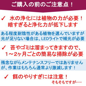 楽天市場 Tvで紹介されました せせらぎビオトープ Nhk おはよう日本 まちかど情報室 手間いらず 水替え不要 ろ過器単体ポンプセット 60cm おしゃれ フィルター ポンプ アクアポニクス 金魚 メダカ 熱帯魚 水替え 観葉植物 癒やし インテリア 西条庭園 西条庭園