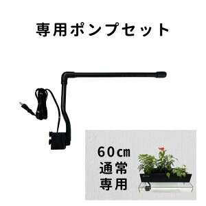 p|v 炬rIg[v XyAp ւp 45^ 60^ ʏ Xi炬rIg[vȊO̐ɂ͕słj