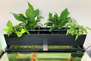 90cm 水槽 セットの人気商品 通販 価格比較 価格 Com