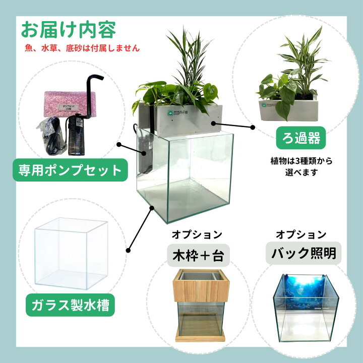 楽天市場】【TVで紹介されました】水換え不要 水槽セット せせらぎ 