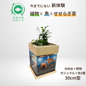 yTVŏЉ܂z sv Zbg 炬rIg[v 30cm Zbg 25L KX   ߂  x^ Mы S ͂悤{ ܂Ǐ ANAE 