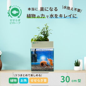 【TVで紹介されました】水換え不要 水槽セット せせらぎビオトープ 30cm 水槽セット 約25L ガラス 水槽 おしゃれ めだか 金魚 ベタ 熱帯魚 初心者 おはよう日本 まちかど情報室 アクアリウム インテリア 観葉植物 飼育セット 高評価 癒やし 送料無料