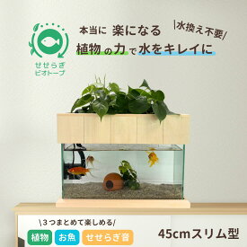 【TVで紹介されました】水換え不要 水槽セット せせらぎビオトープ 45cmスリム ガラス 水槽 おしゃれ めだか 金魚 ベタ 熱帯魚 初心者 おはよう日本 まちかど情報室 アクアリウム 入門セット インテリア 観葉植物 飼育セット 高評価 癒やし 送料無料