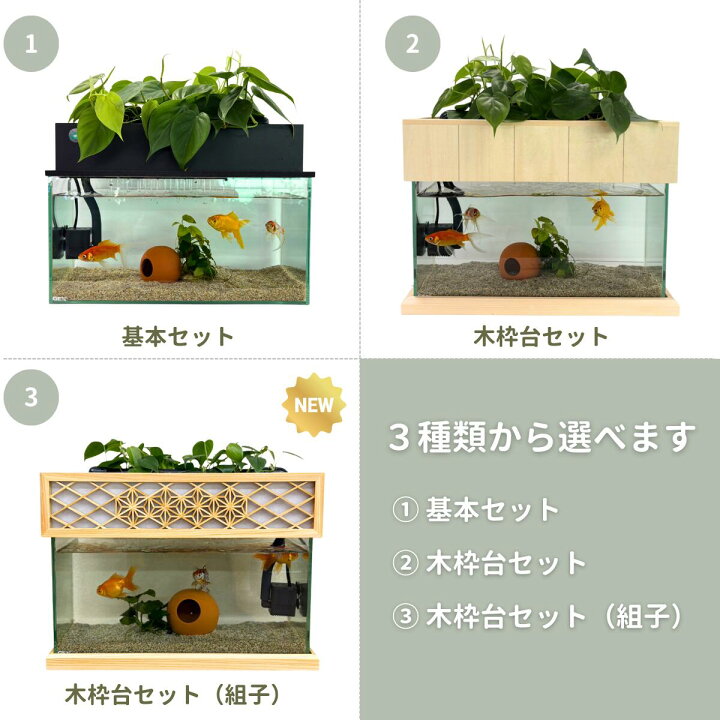 楽天市場】【TVで紹介されました】水換え不要 水槽セット せせらぎ 