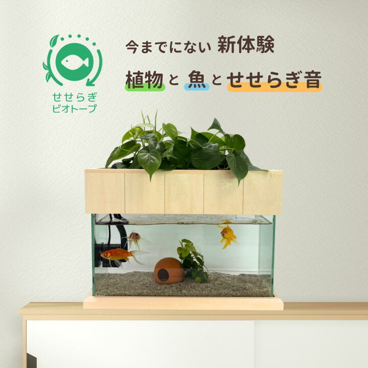 楽天市場】【TVで紹介されました】水換え不要 水槽セット せせらぎ 