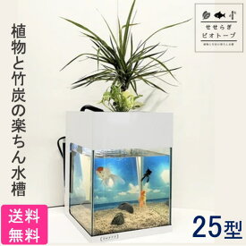 楽天市場 金魚 水槽フィルターの通販