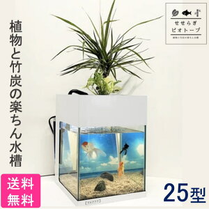 25cm 水槽セット 水槽の通販 価格比較 価格 Com