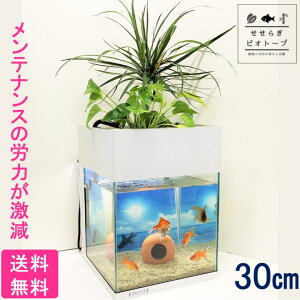 水槽 おしゃれの人気商品 通販 価格比較 価格 Com 水槽 おしゃれの人気商品 通販 価格比較 価格 Com