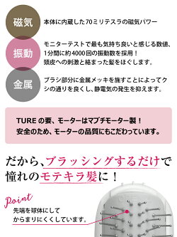 ハンディTRUE電動ヘアブラシブラック/ホワイト/ピンク【あす楽対応】