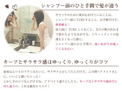 ハンディTRUE電動ヘアブラシブラック/ホワイト/ピンク【あす楽対応】