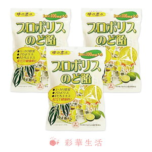 LO1 v|X̂ǈ v|X LfB[ 80g×3Zbg [[֑]  \h ̂ 䂢 ԕ ΍ Zbg p N A ̂ǈ  P~ ECX v