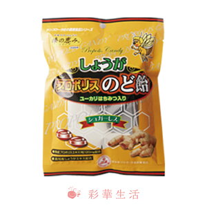 傤v|X̂ǈ v|XLfB[ 80g / 傤 VEK I A ̂ǂ ̂ǈ v|X |Cg  \h ̂ 䂢 ԕ ΍ Lf[ sbƂh