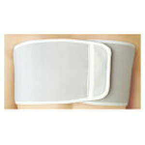 {VO}bNX uoh Œ ʗp 313003 L