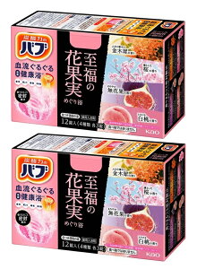 y×2zԉ ou ̉ԉʎ߂藁  12×2Zbg